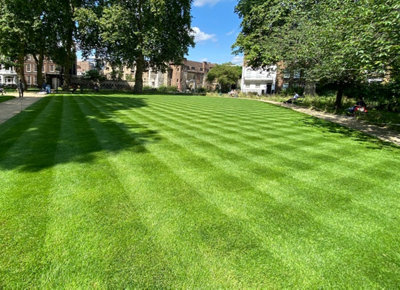 BS Quality Hard Wearing Lawn Seed (1 x 2kg)