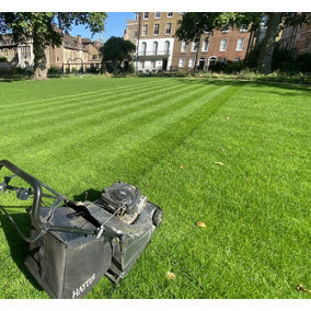 BS Quality Hard Wearing Lawn Seed (25 x 20kg)