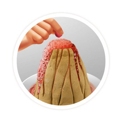Build Your Own Volcano Childrens Home Science Experiment Mini Lab Work