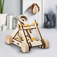 Build Your Own Wooden Catapult