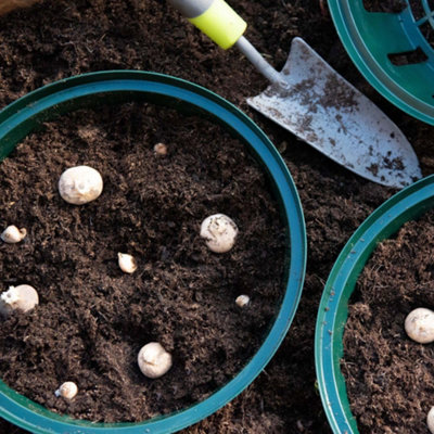 Bulb Planting Baskets x 5 - Easy to Use - Durable