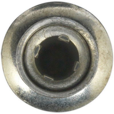 Bulk Pack of 100 Zinc Plated Structural Steel Rivets - 6.3mm x 32mm ...