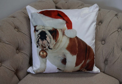 Bulldog Bouble Cushion Cover (43x43cm) Multicolor