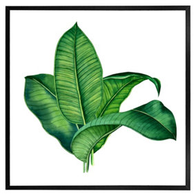 Bunched leaves (Picutre Frame) / 16x16" / Black
