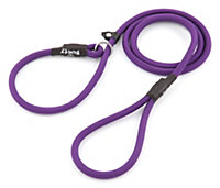 Bunty Nylon Slip Rope Lead - Strong Dog & Puppy Training Lead Leash, No Collar Required, Anti Pull - 120cm, Purple, S/M/L/XL