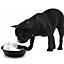 Bunty Pet Dog Cat Automatic Water Fountain Bowl Clean Fresh Purifier Drinking