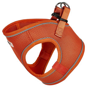 Bunty Reflective Dog Harness - Step-In Easy Fit, Lightweight, Breathable, Secure & Comfortable Fit - Orange Extra Small 34cm
