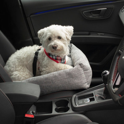 Dog store basket car