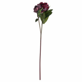 Burgundy Peony Rose Artificial Flower - Plastic - L15 x W20 x H58 cm - Red