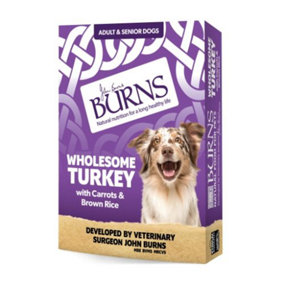 Burns Wholesome Turkey & Rice & Veg 12 x 150g