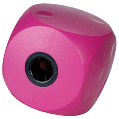 Buster Mini Cube Cherry (Small)