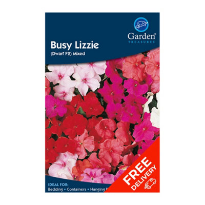 Busy Lizzie Dwarf F2 Mixed (Impatiens walleriana) DIY at B&Q