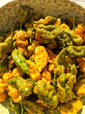 Butterscotch Ghost Scorpion Chilli Seeds - 10 Fresh Seeds