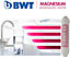 BWT Magnesium Mineralizer In Line Water Filter Cartridge Filter Tap - 6 Months