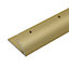 C07 10mm Anodised Aluminium Single Edge Carpet Profile - Gold, 1.0m