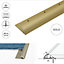 C07 10mm Anodised Aluminium Single Edge Carpet Profile - Gold, 1.0m
