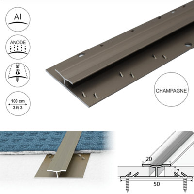 C61 20mm Anodised Aluminium Dual Edge Carpet Profile - Champagne, 1.0m