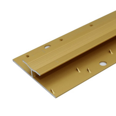 C61 20mm Anodised Aluminium Dual Edge Carpet Profile - Gold, 1.0m