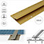 C61 20mm Anodised Aluminium Dual Edge Carpet Profile - Gold, 1.0m