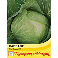 Cabbage Cabbice F1 1 Seed Packet (30 Seeds)