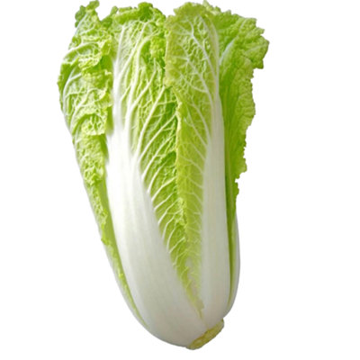 Cabbage Chinese Vegetable for Planting UK 1000 Seeds