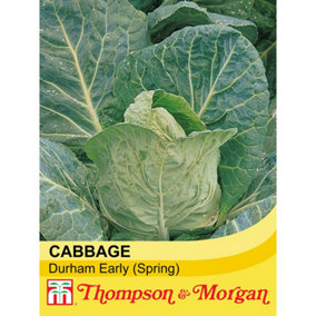 Cabbage Durham Early 1 Seed Packet (300 Seeds)