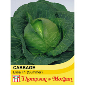 Cabbage Elisa F1 Hybrid 1 Seed Packet (30 Seeds)