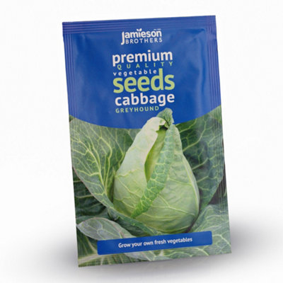 Cabbage Greyhound Vegetable Seeds (approx. 500 seeds) by Jamieson Brothers