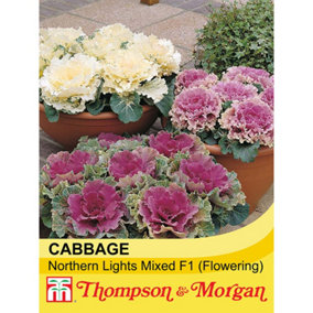 Cabbage Northern Lights Mixed 1 Seed Packet (30 Seeds)