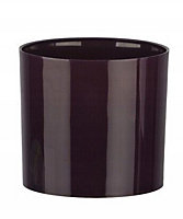 Cactus Plant Pot Round Plastic Pots Cylinder Modern Decorative Plum 12.5cm