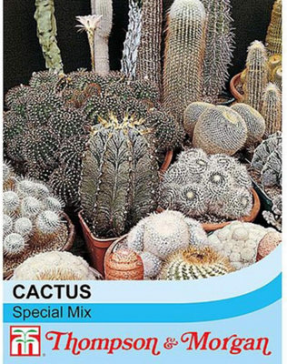 Cactus T&M Special Mix 1 Seed Packet (80 Seeds)