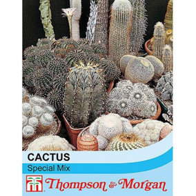 Cactus T&M Special Mix 1 Seed Packet (80 Seeds)