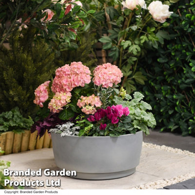 Caesar Concrete Effect Bowl Planter 34.5cm Diameter for Garden Outdoor Patio Grey Small (x1)