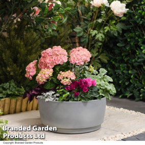 Caesar Concrete Effect Bowl Planter for Garden Outdoor Patio Grey Large (x1)