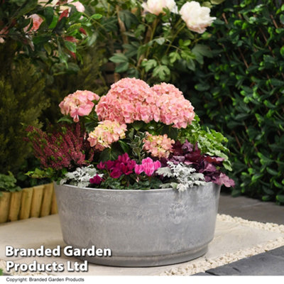 Caesar Marble Effect Bowl Planter 34.5cm Diameter for Garden Outdoor Patio Grey Small (x2)