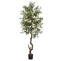 Calabria Large Olive Tree - Plastic - L17 x W17 x H180 cm - Green