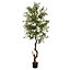 Calabria Large Olive Tree - Plastic - L17 x W17 x H180 cm - Green