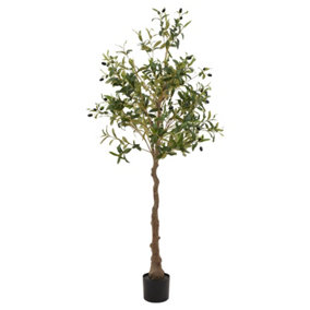 Calabria Olive Tree - Plastic - L17 x W17 x H150 cm - Green