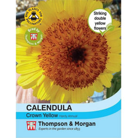 Calendula Double Crested Crown Yellow 1 Packet (100 Seeds)