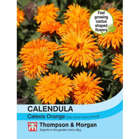 Calendula officinalis Calexis Orange 1 Seed Packet (50 Seeds)