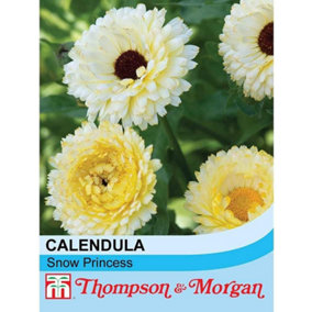 Calendula officinalis Snow Princess 1 Seed Packet (50 Seeds)
