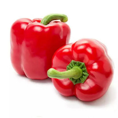 California Wonder Sweet Bell Pepper Seeds (100+) - Large Red Fruits - Indoor/Outdoor Growing