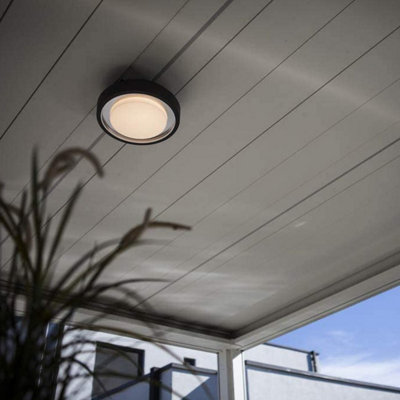 CALLIE - CGC Dark Grey Circular RGB LED Wall / Ceiling Light With WIZ ...