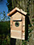 Callow Retail Cedar Bird Nest Box and Feeder with Colour Night Vision Camera with Audio
