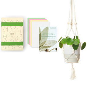 Calm Club Flower Press Kit & Macrame Plant Hanger Kit