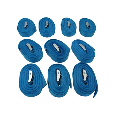 Cam Buckle Tie Down Straps 25MM 250KG 5 Metre x10 (Lashing Strap Secure Hold)
