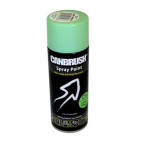 Canbrush Paint for Metal Plastic and Wood (C11 Surf Green)