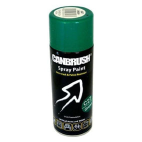 Canbrush Paint for Metal Plastic and Wood (C27 Green)