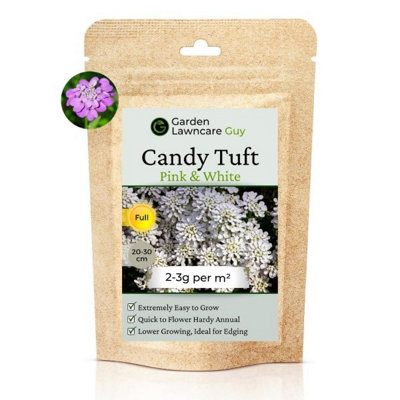 Candy Tuft Seeds Pink & White 20g