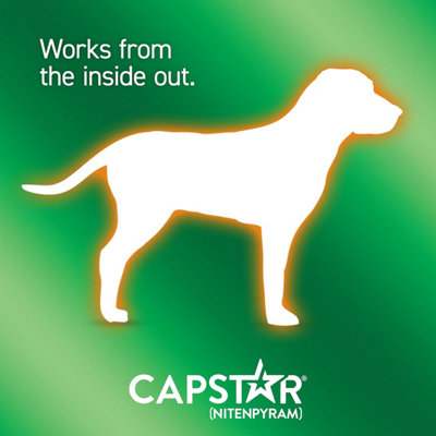 Capstar Flea Treatment Tablets for Medium and Large Dogs from 11.5kg to ...